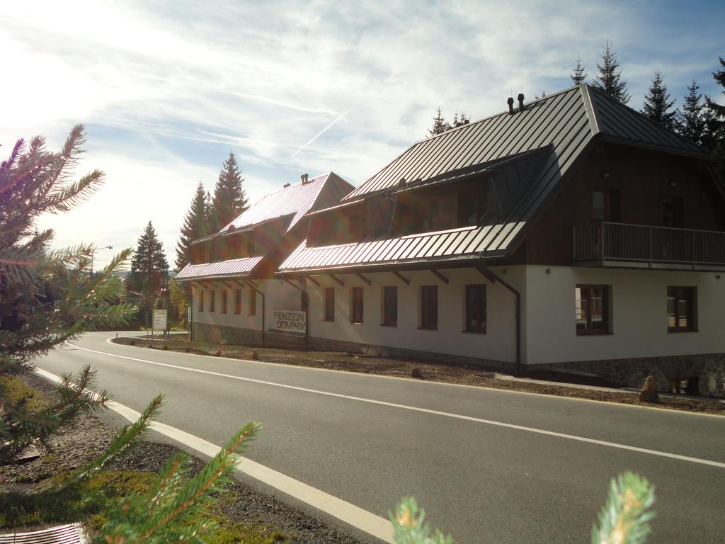 Penzion Dominik Zelezna Ruda Exterior photo