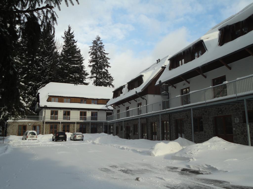 Penzion Dominik Zelezna Ruda Exterior photo